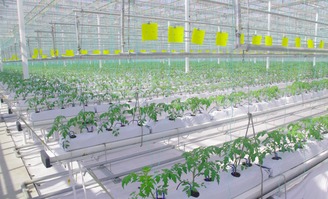青岛西海岸省级农业高新技术产业开发区获批